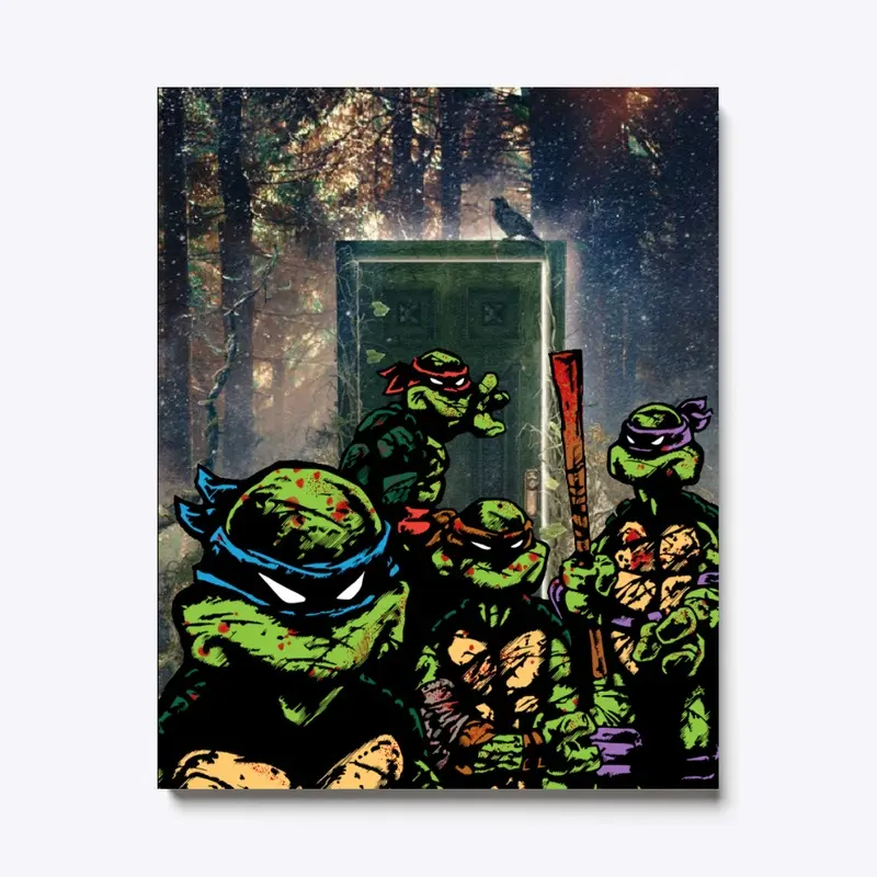 TURTLES DIMENTION DOOR